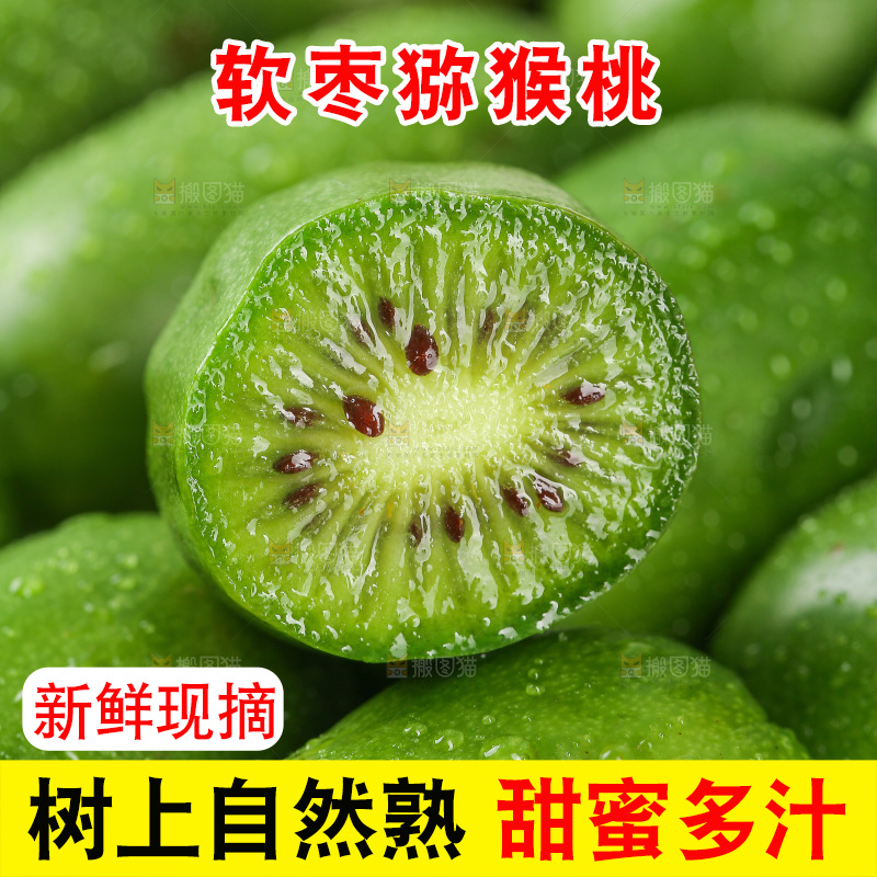浅底上的软枣猕猴桃