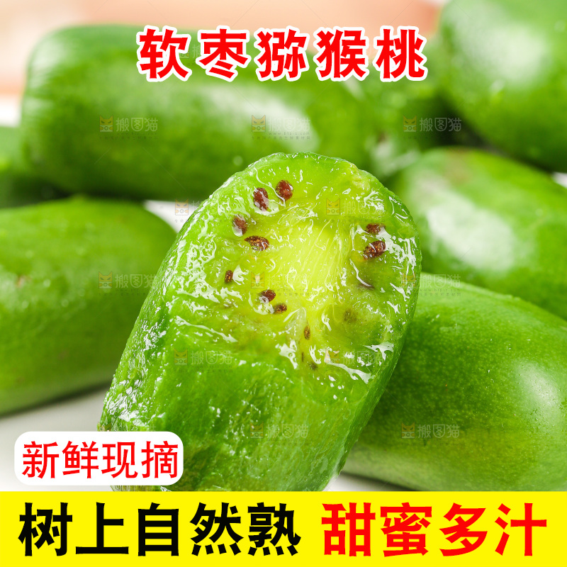 浅底上的软枣猕猴桃