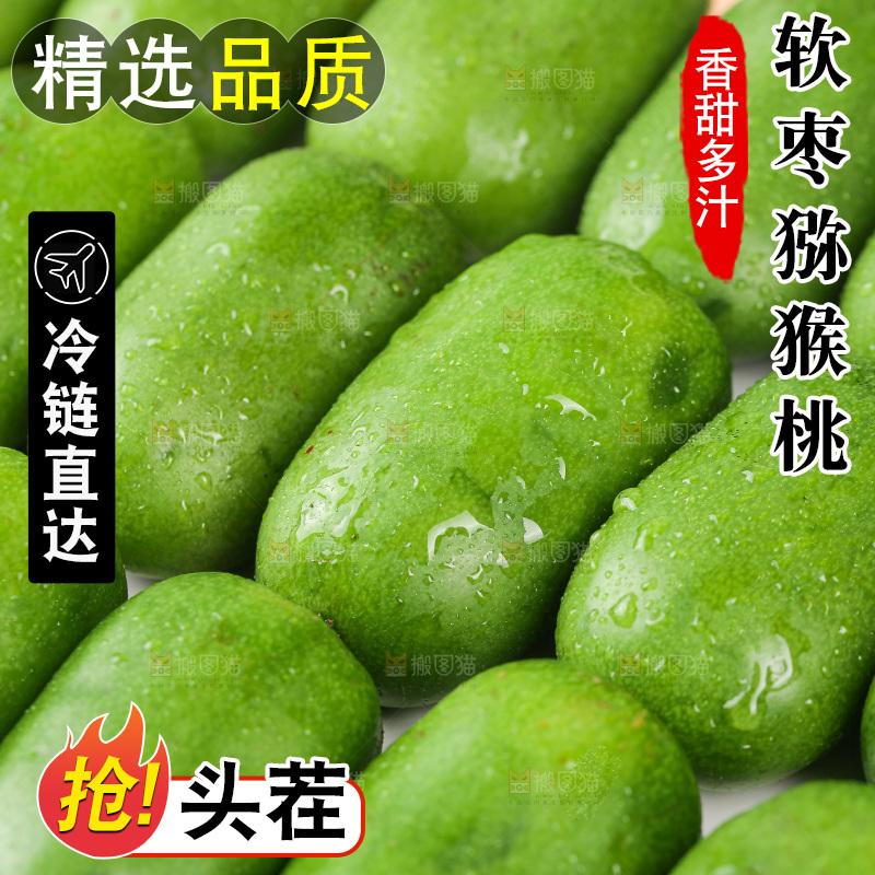浅底上的软枣猕猴桃