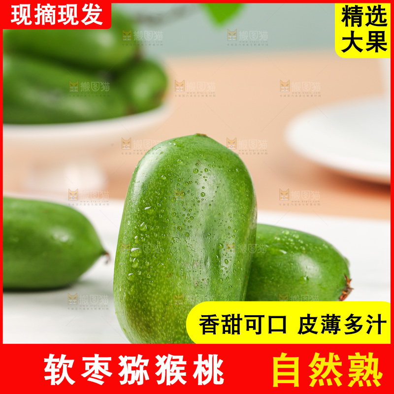 浅底上的软枣猕猴桃