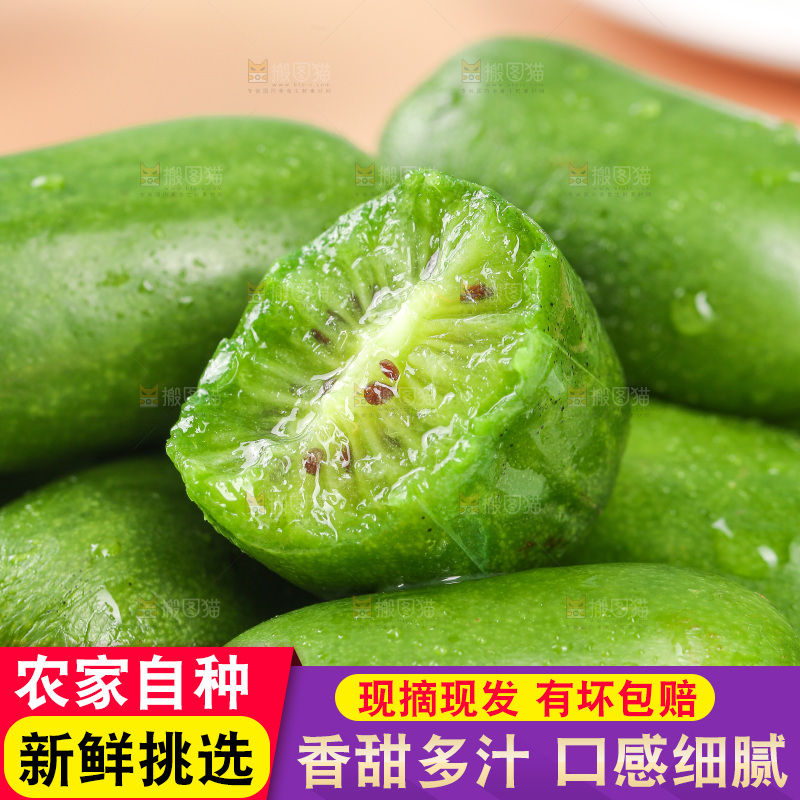 浅底上的软枣猕猴桃