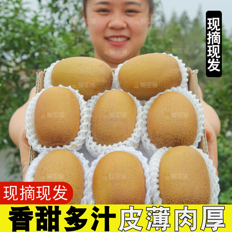 手里拿着佳沛奇异果