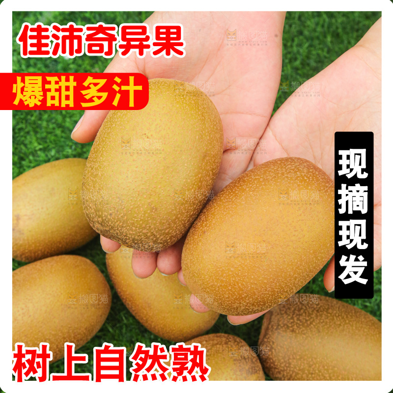手里拿着佳沛奇异果