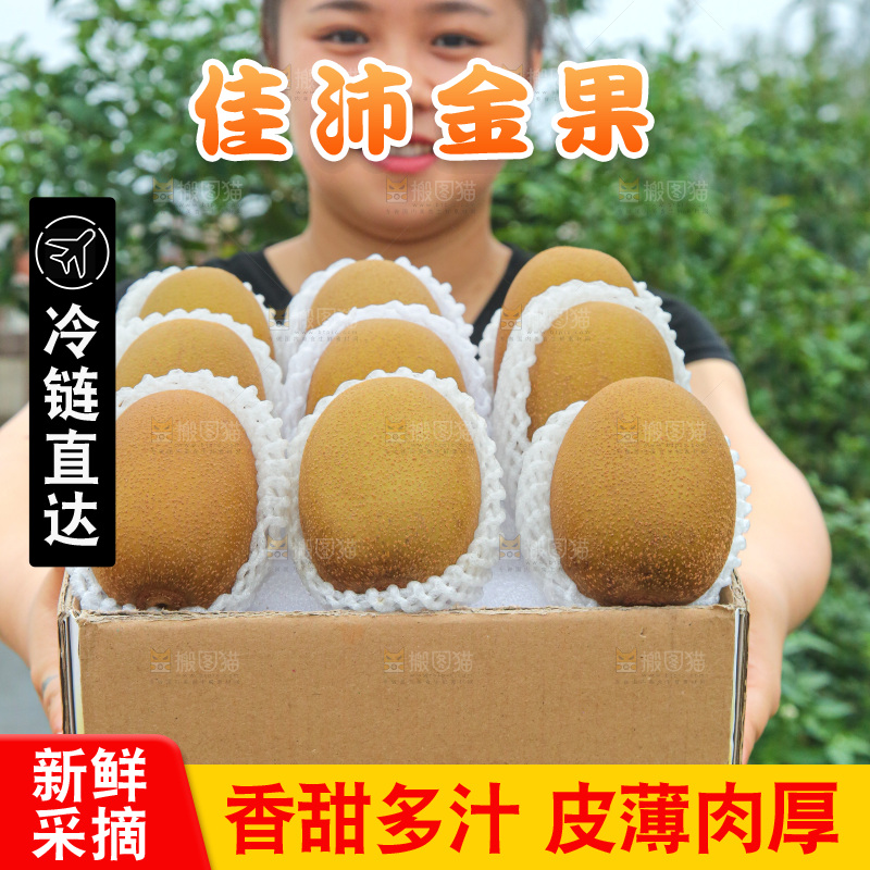 手里拿着佳沛奇异果