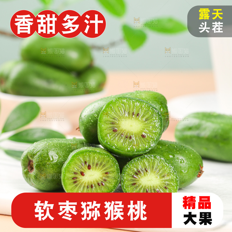 浅底上的软枣猕猴桃
