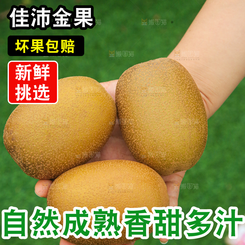 手里拿着佳沛奇异果