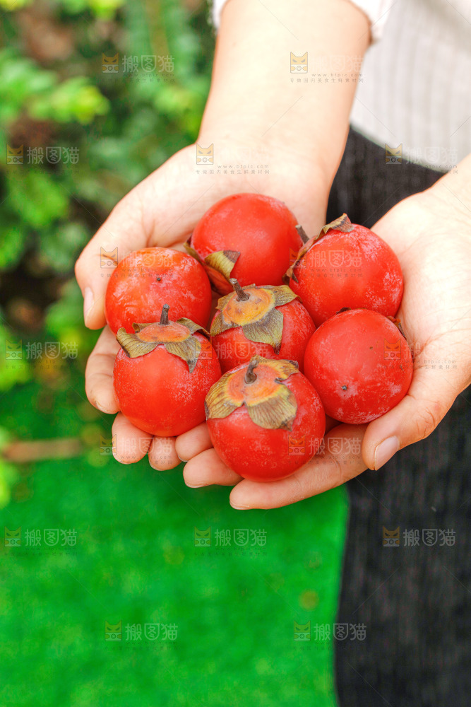 手里拿着蜜柿