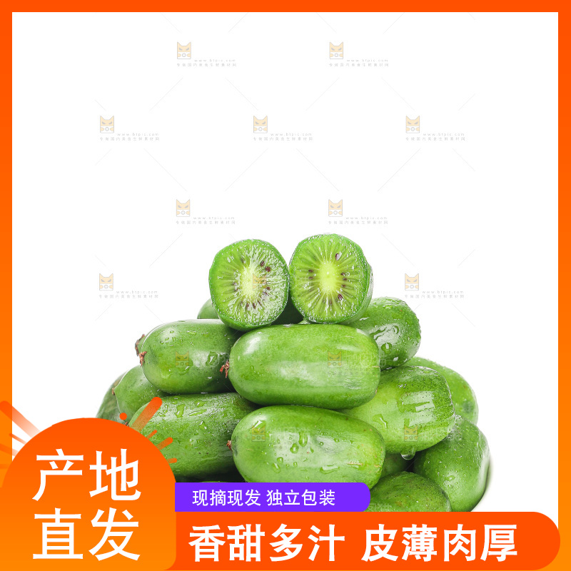 白底上的软枣猕猴桃