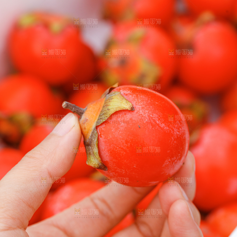 手里拿着蜜柿