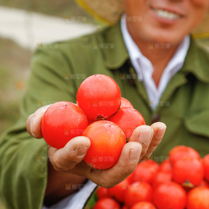 手里拿着珍珠蜜柿