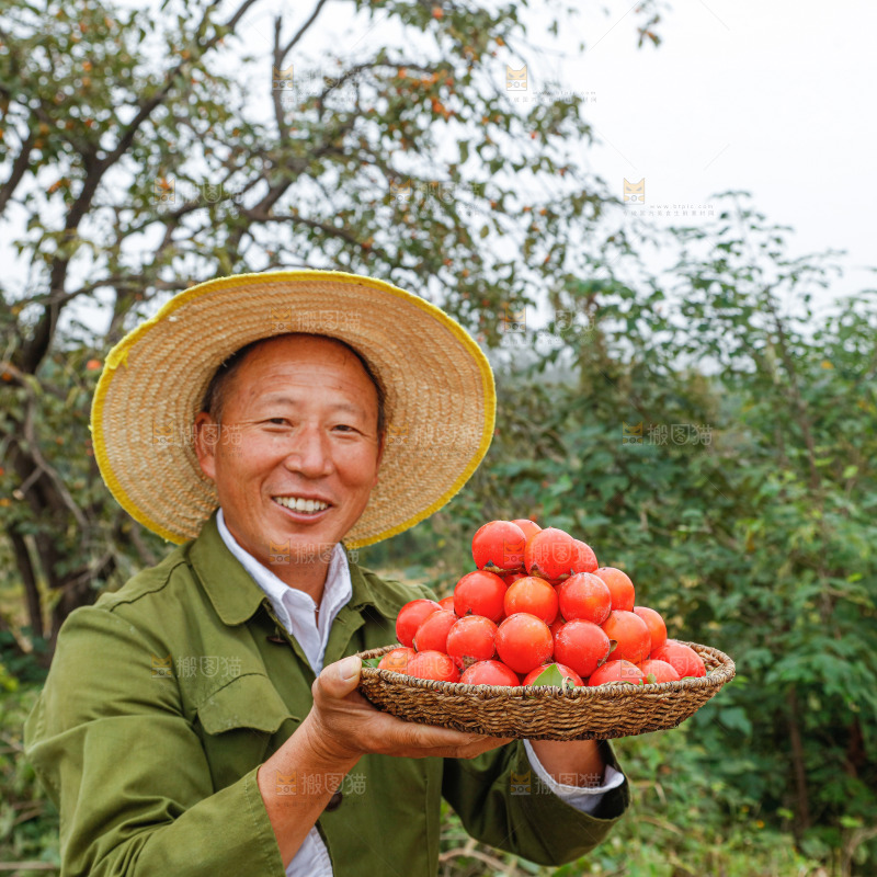 手里拿着珍珠蜜柿