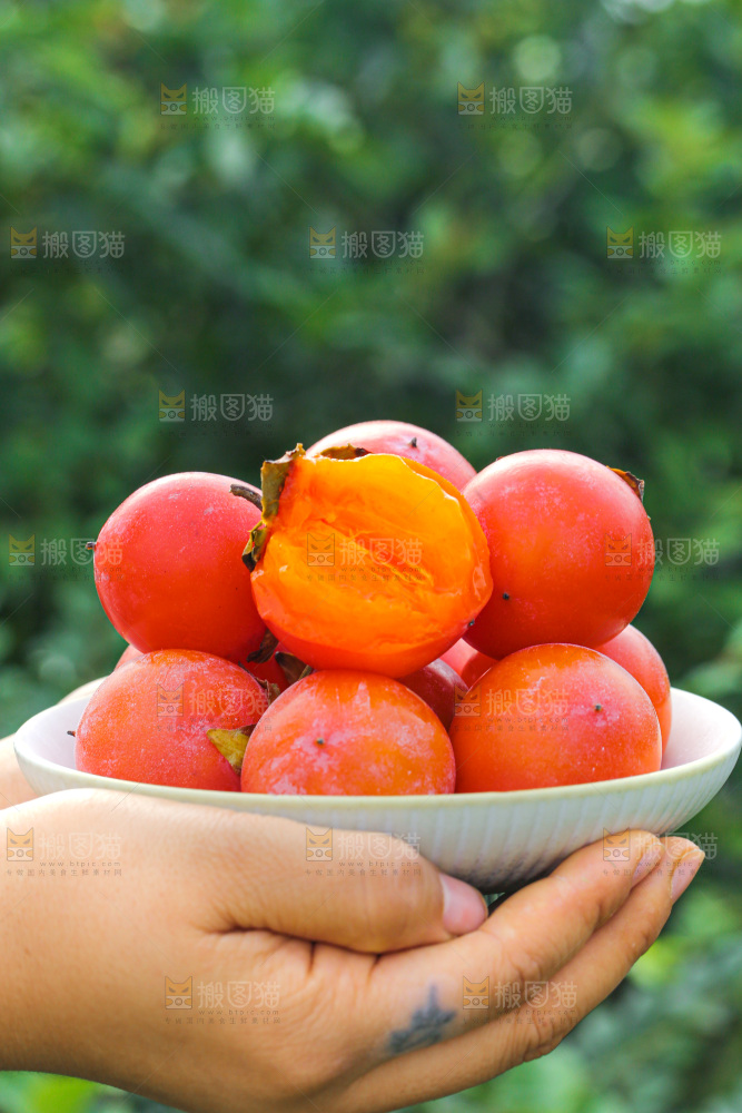 手里拿着珍珠蜜柿