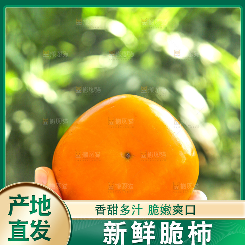 浅底上的脆柿