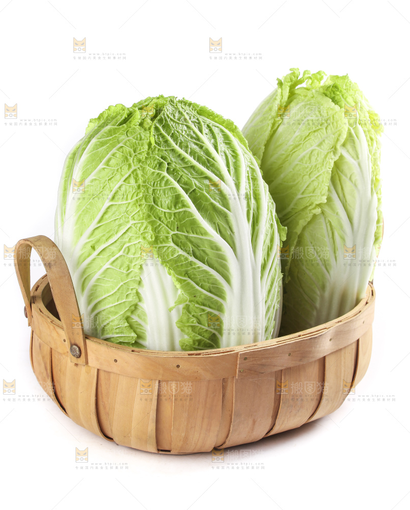 白底上的大白菜
