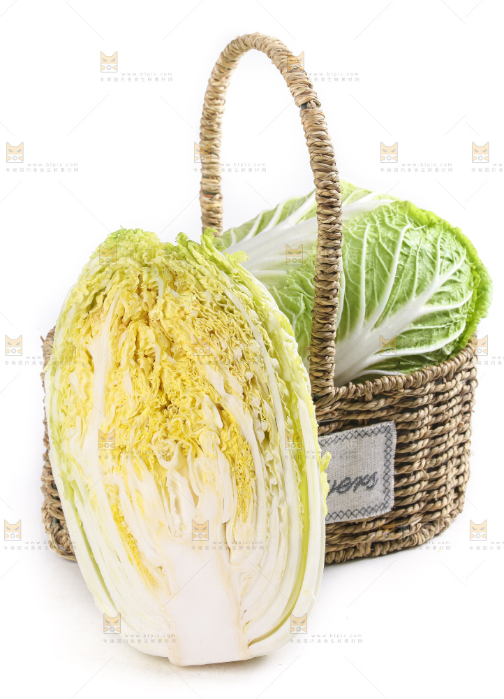 白底上的大白菜