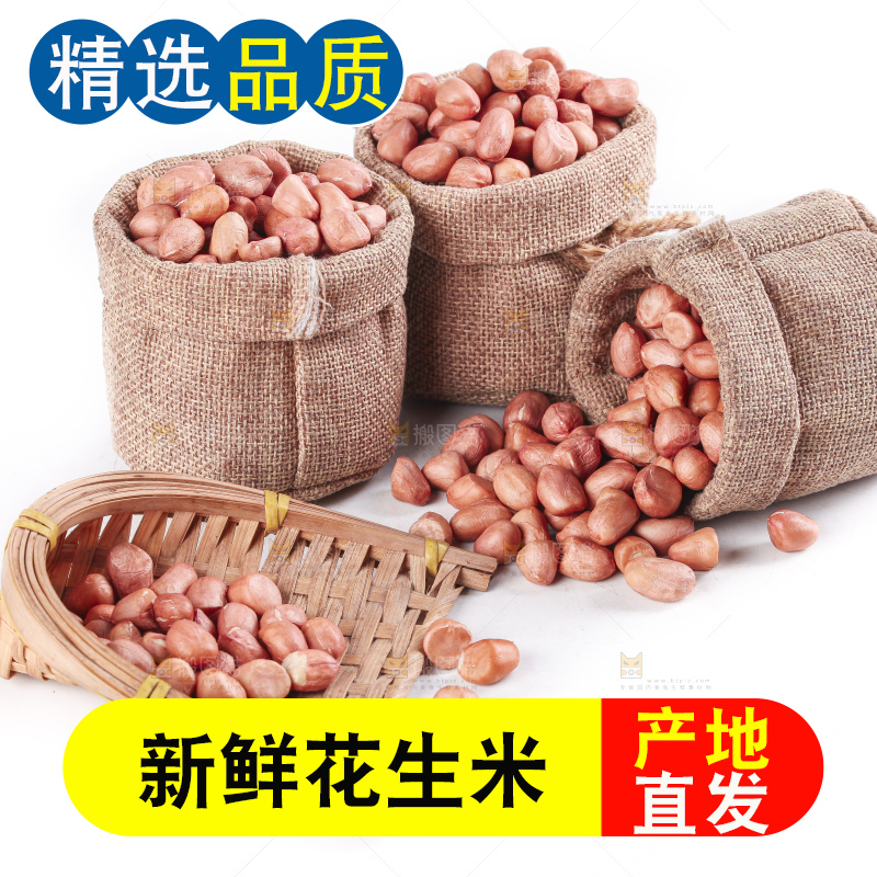 白底上的花生米