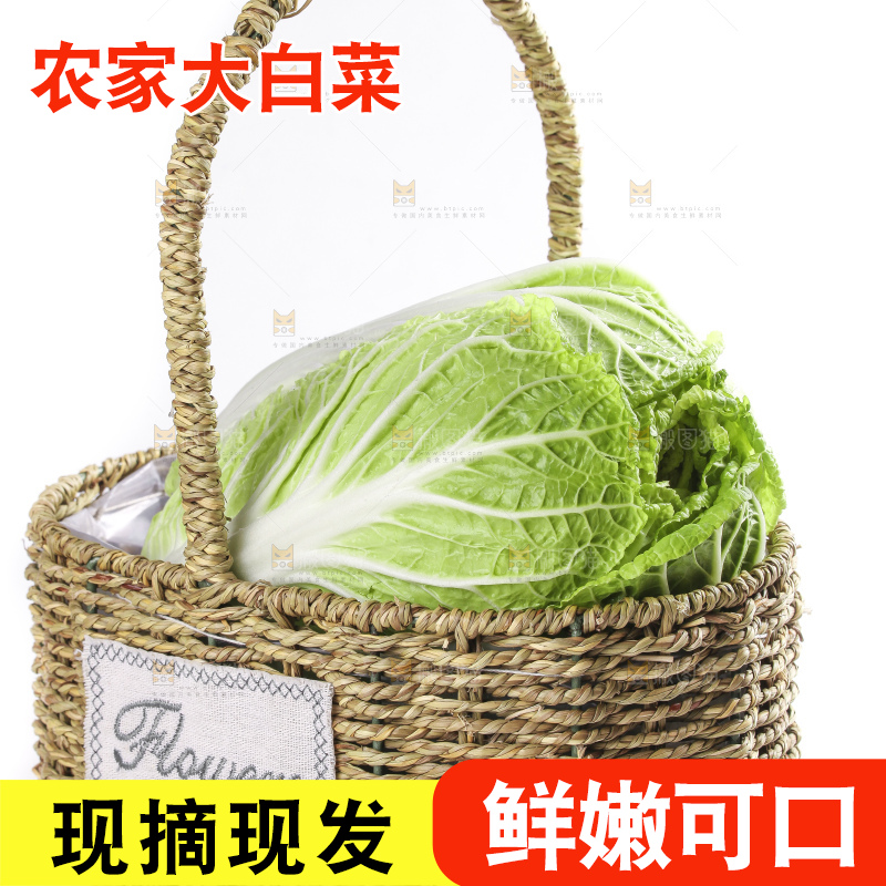 白底上的大白菜
