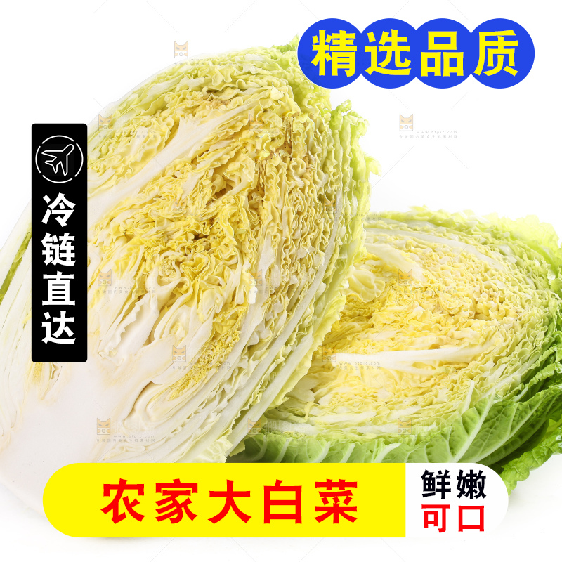 白底上的大白菜