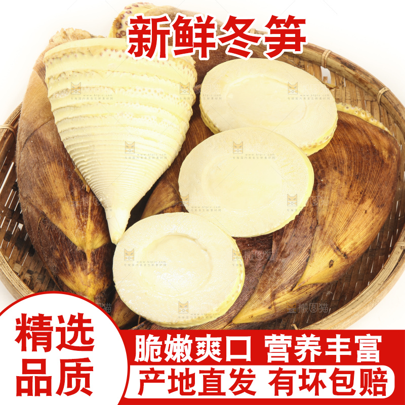 白底上的冬笋