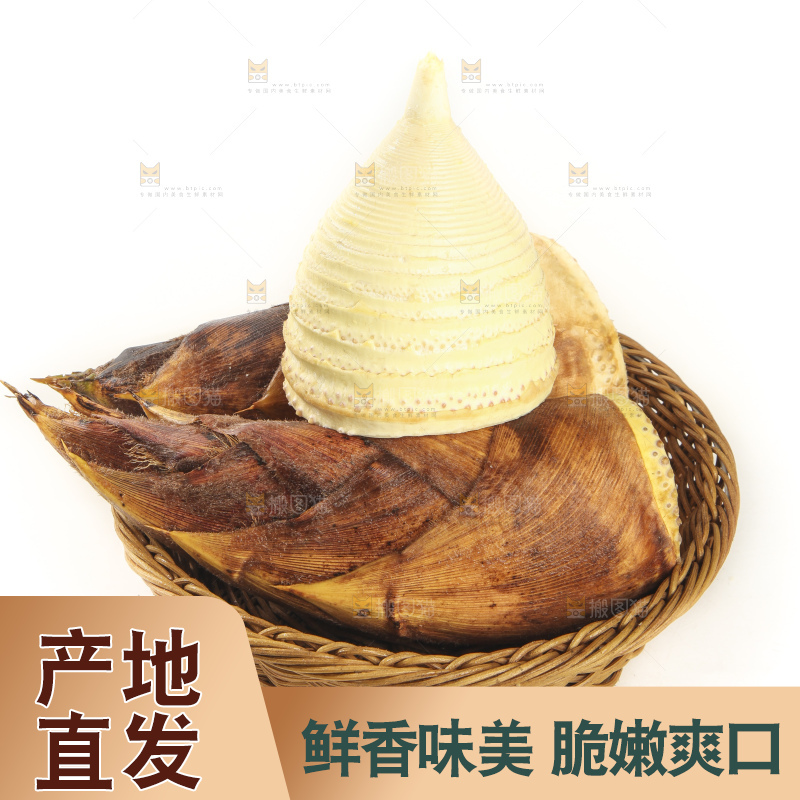 白底上的冬笋