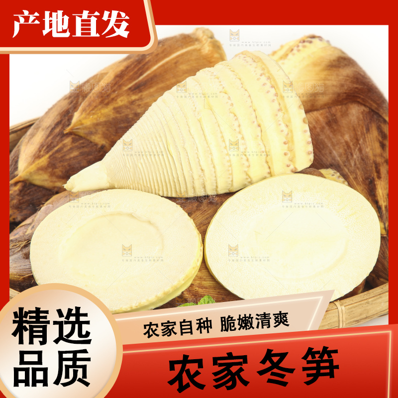 白底上的冬笋
