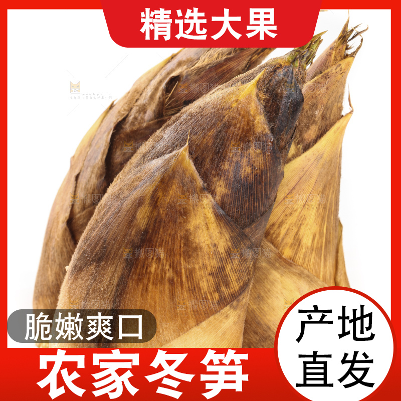 白底上的冬笋