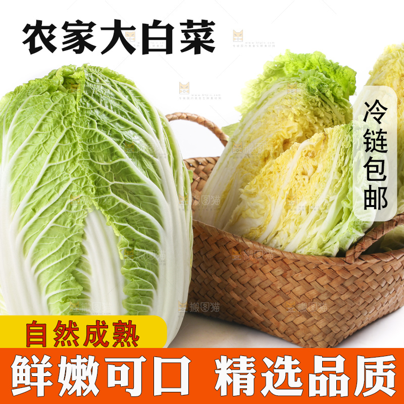 白底上的大白菜