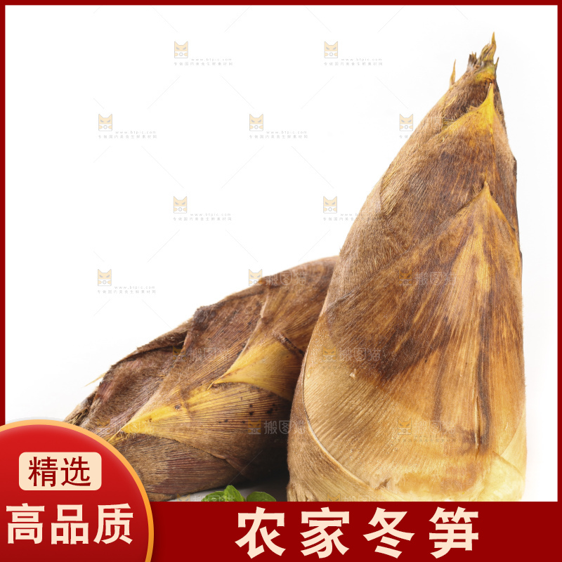 白底上的冬笋