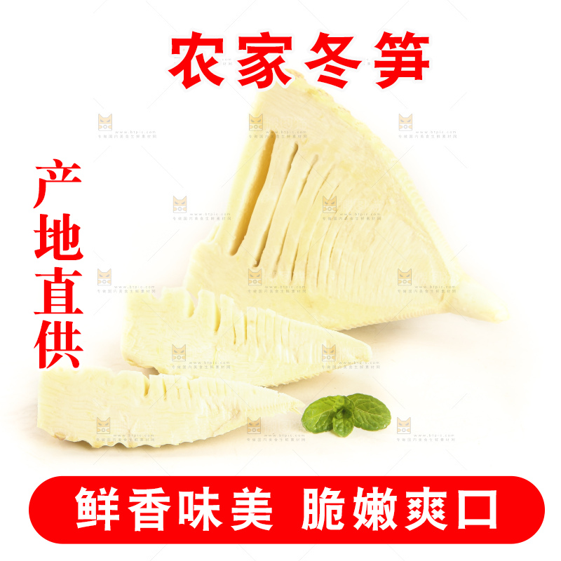 白底上的冬笋