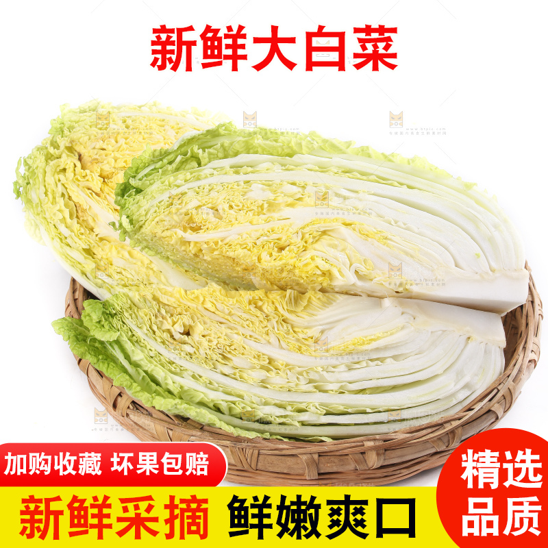 白底上的大白菜