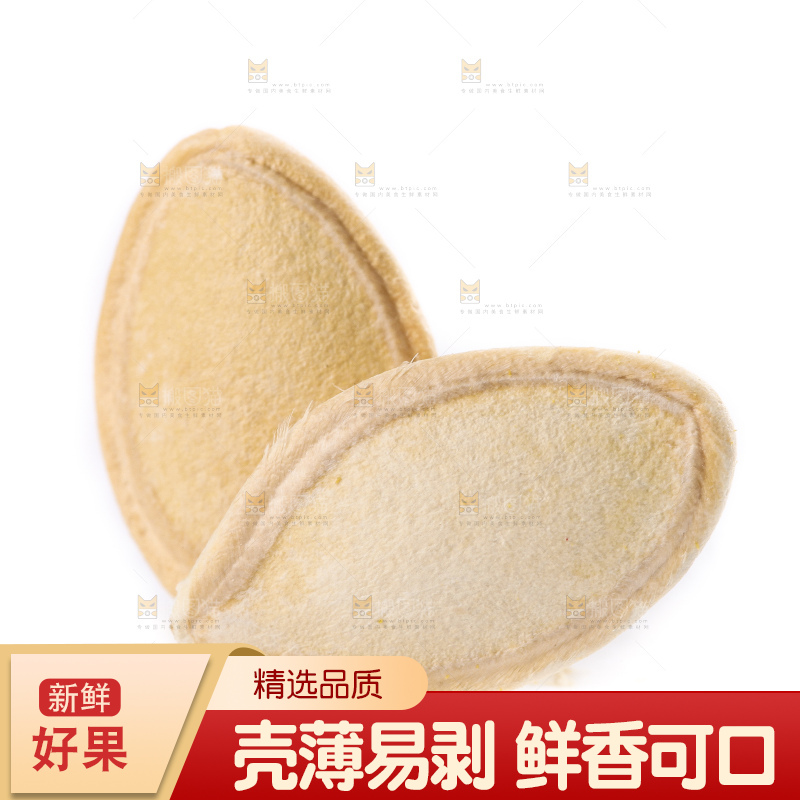 白底上的南瓜子