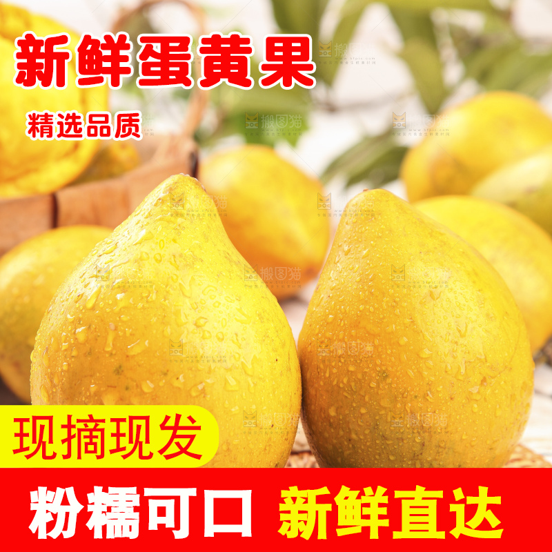 浅底上的蛋黄果
