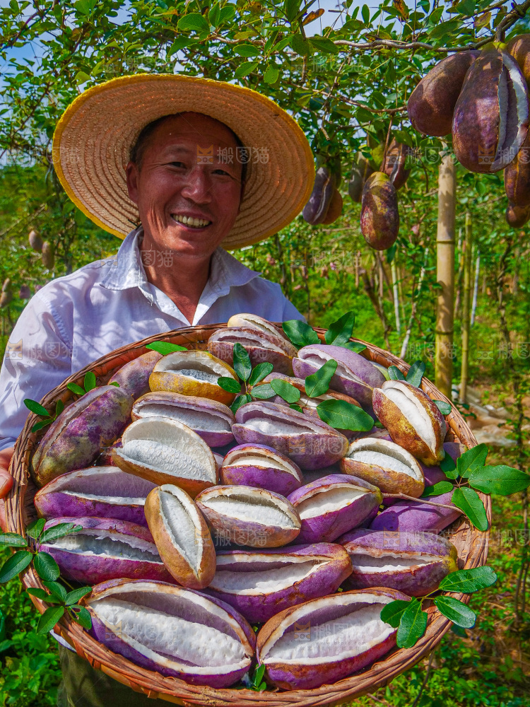 手里拿着现摘八月炸