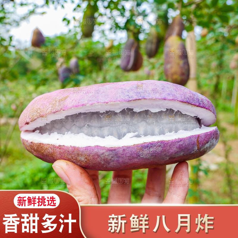 手里拿着现摘八月炸