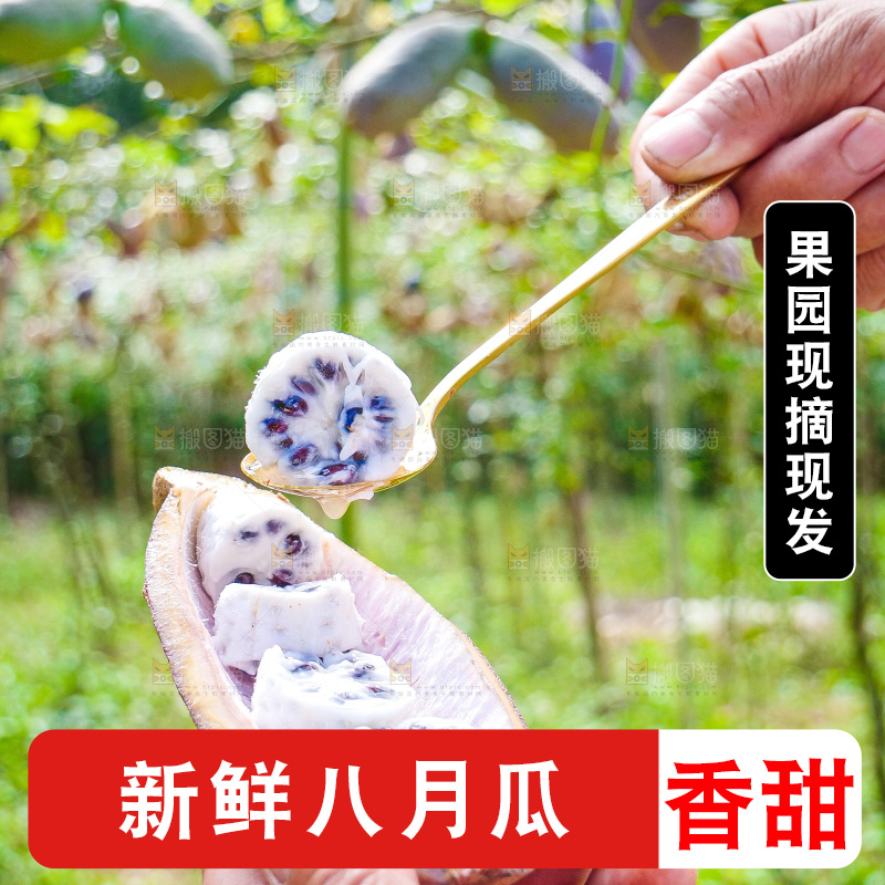 手里拿着现摘八月炸