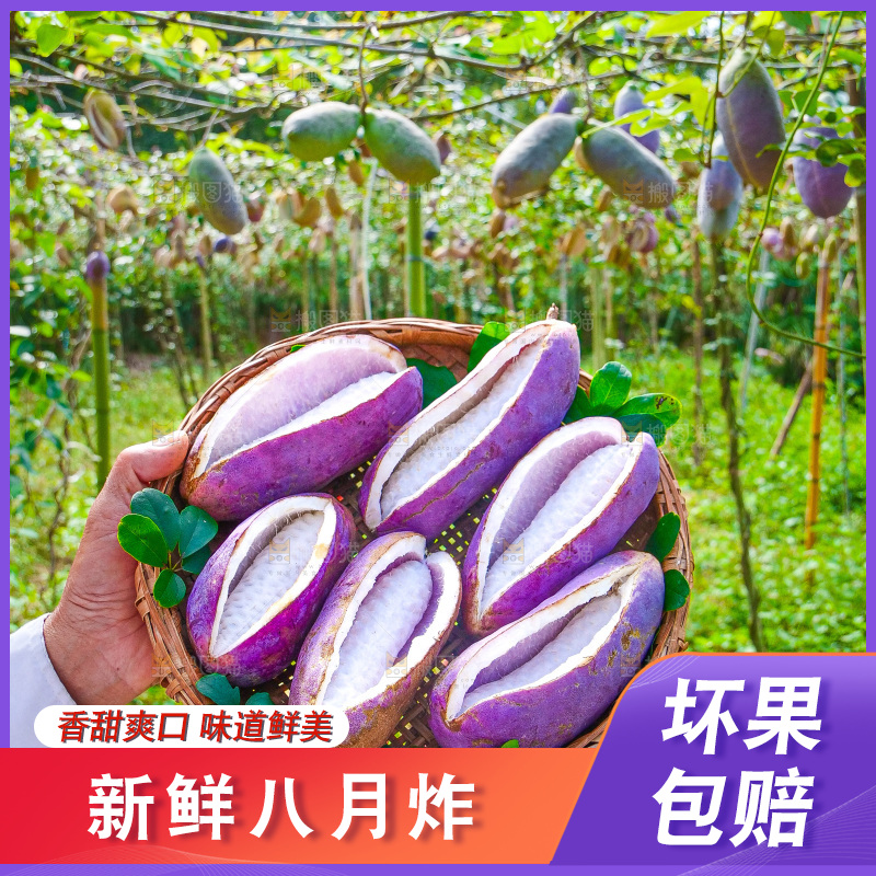 手里拿着现摘八月炸