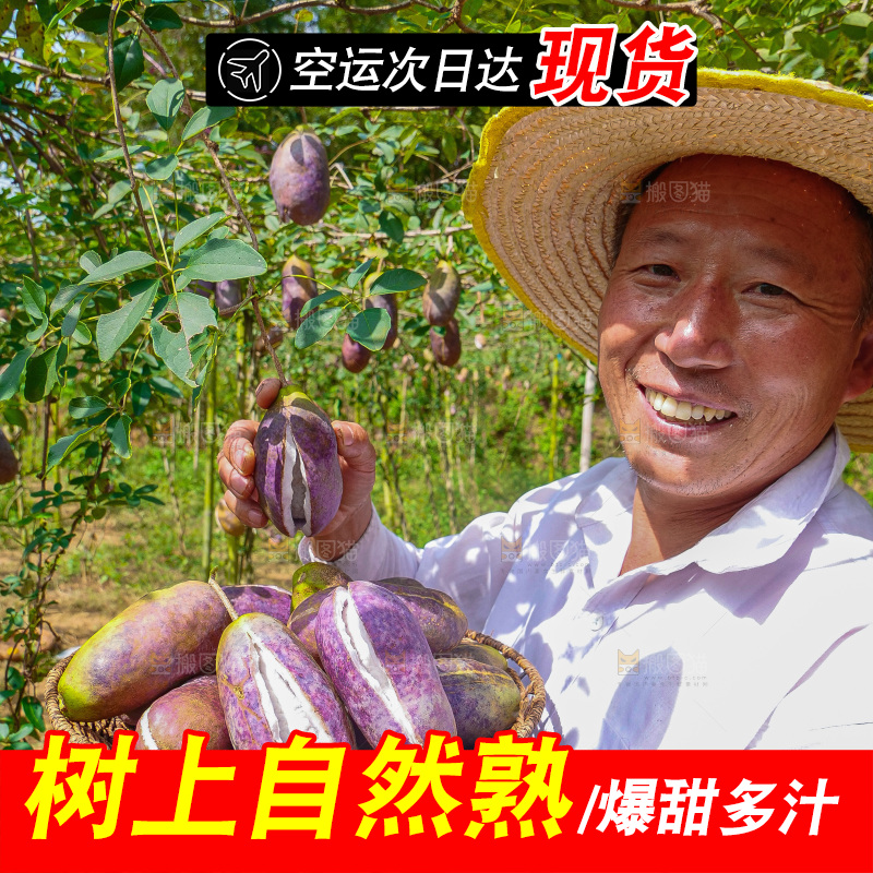 手里拿着现摘八月炸