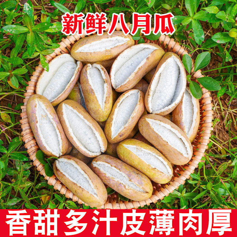 手里拿着现摘八月炸