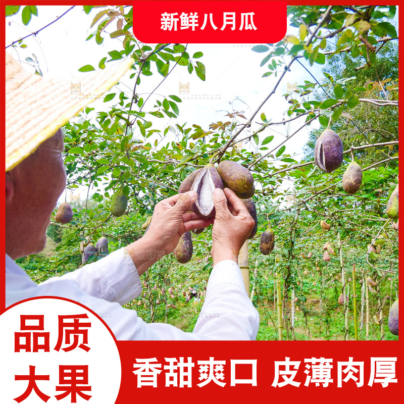 手里拿着现摘八月炸