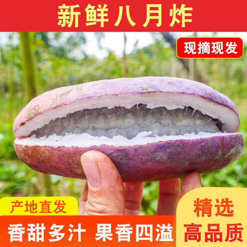 手里拿着现摘八月炸