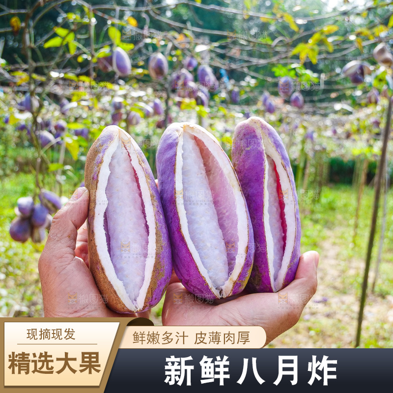 手里拿着现摘八月炸