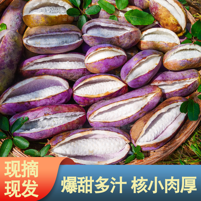 手里拿着现摘八月炸
