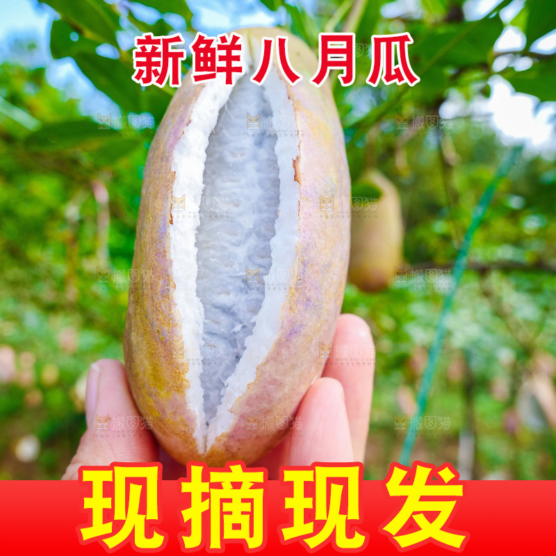 手里拿着现摘八月炸