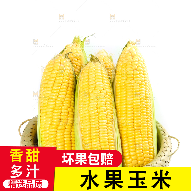 白底上的水果玉米
