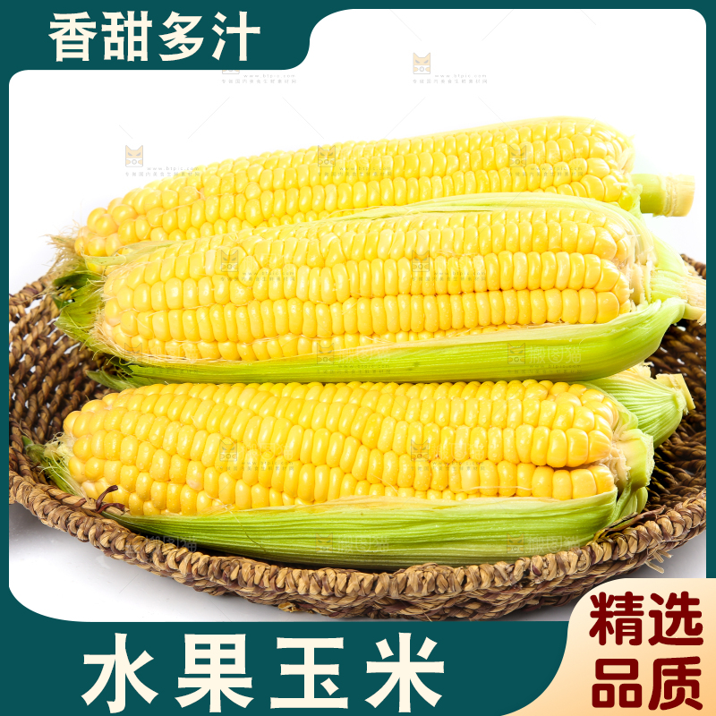 白底上的水果玉米