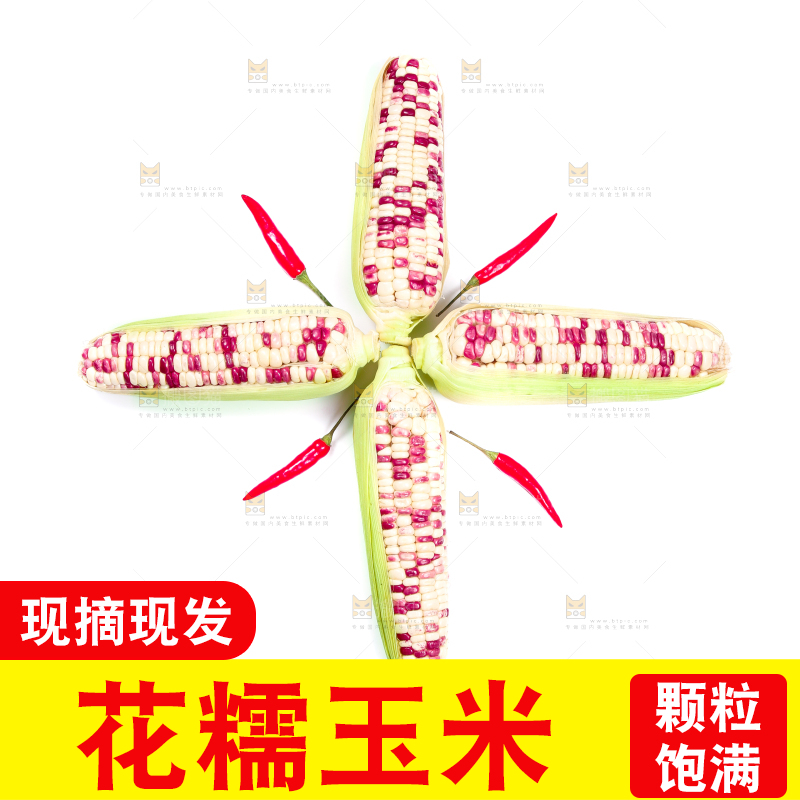 白底上的花糯玉米