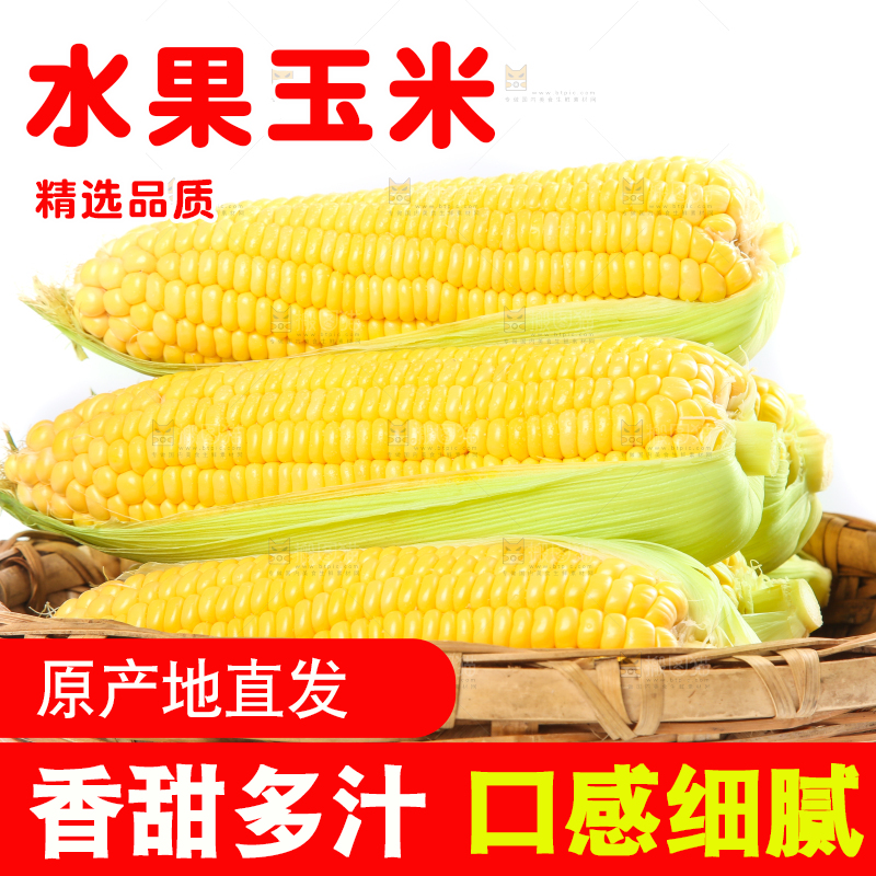白底上的水果玉米