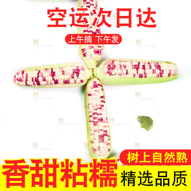 白底上的花糯玉米