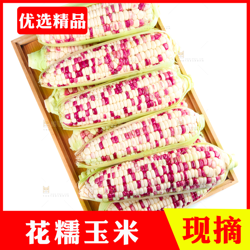 白底上的花糯玉米