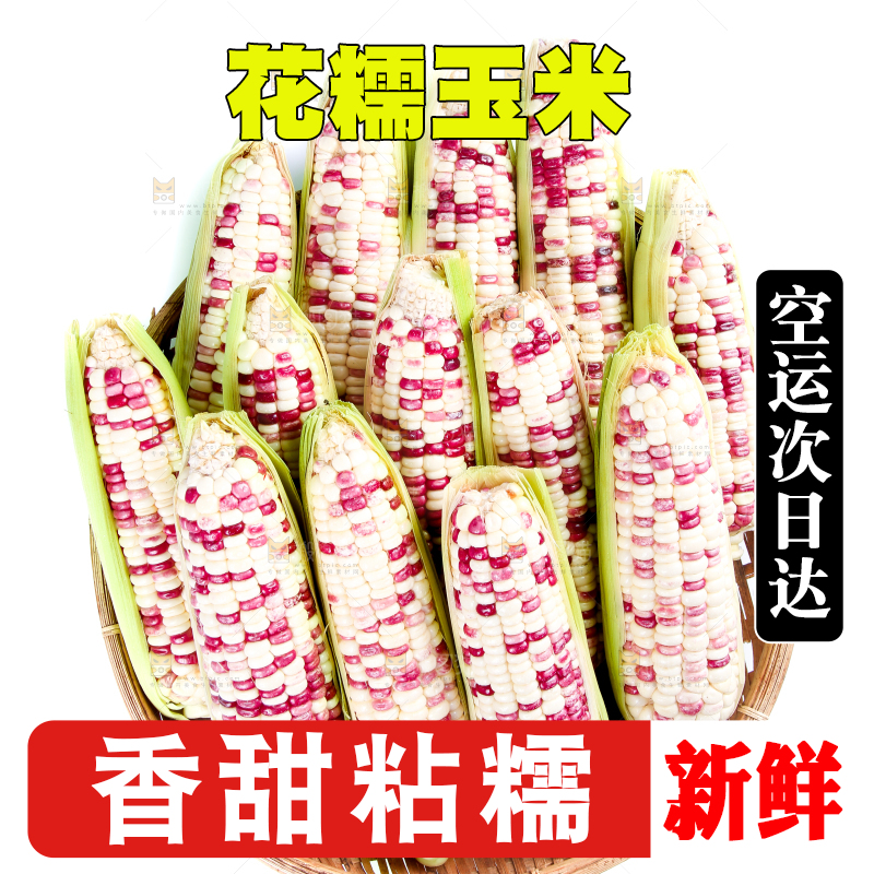 白底上的花糯玉米
